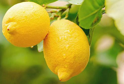 多吃什么水果能幫助滋養皮膚？這6種美容養顏效果好