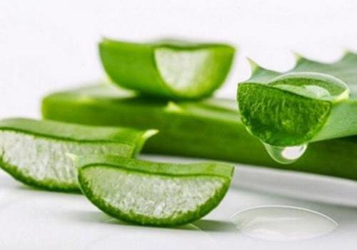 蘆薈膠可以涂著睡覺嗎 蘆薈膠的正確用法-易網<a href=http://m.henggaotouzi.com/ target=_blank class=infotextkey>健康養生</a>網 蘆薈膠可以涂著睡覺嗎 蘆薈膠的正確用法