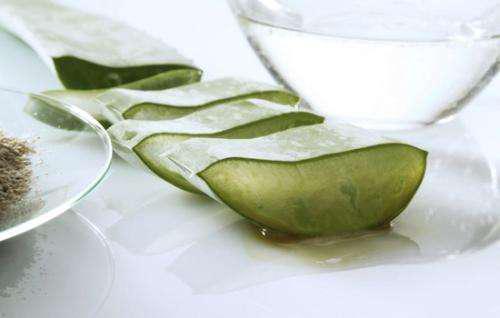 新鮮蘆薈涂臉正確方法，要先將蘆薈外皮剝掉！