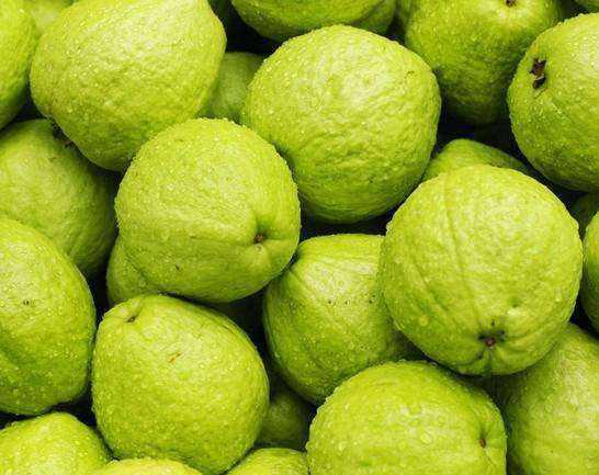 番石榴的功效與作用，有效滋養肌膚！