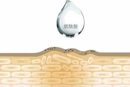 煙酰胺是水溶性還是脂溶性 煙酰胺對皮膚有什么作用