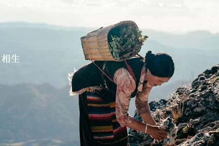 相宜本草護膚品怎么樣 相宜本草適合什么年齡真的好用嗎