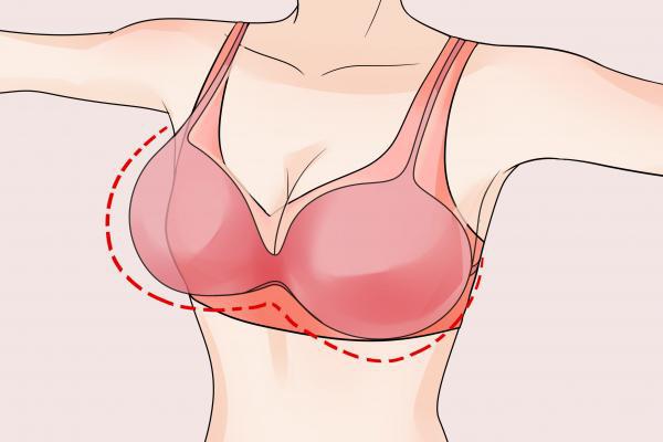 如何快速豐胸-易網(wǎng)健康<a href=http://m.henggaotouzi.com/jkys/ target=_blank class=infotextkey>養(yǎng)生</a>網(wǎng) 如何快速豐胸