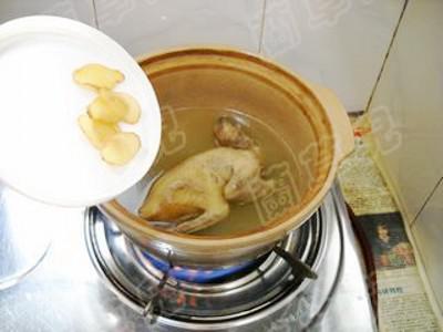 枸杞菊花燉乳鴿的做法-家常味燉菜譜