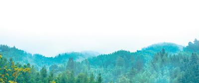 積極應(yīng)對(duì)人口老齡化促進(jìn)人口均衡發(fā)展