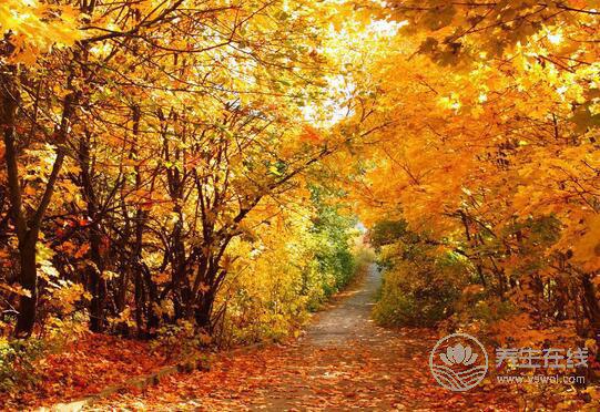 如何預防秋季抑郁癥的發生