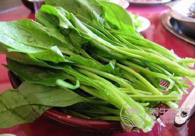 一年之計在于春，春季養(yǎng)生須知