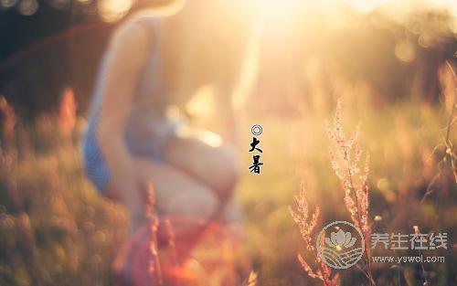 大暑時節，家庭消暑必知的中藥涼茶配方