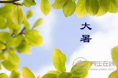 大暑時節，家庭消暑必知的中藥涼茶配方