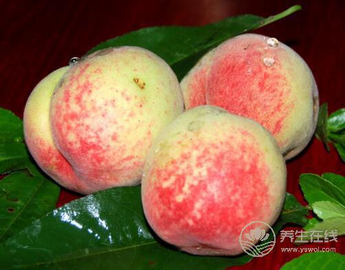 8月份不可錯過的水果，味美營養養生