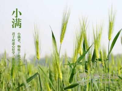 2019年什么時(shí)候小滿 小滿時(shí)間幾點(diǎn)幾分