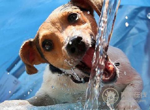 老人在夏季要補這四樣,您都補了嗎？