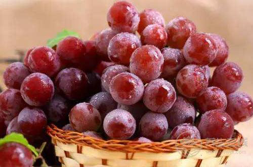 立秋之后葡萄熟了，但別亂吃，不同顏色的葡萄作用不同