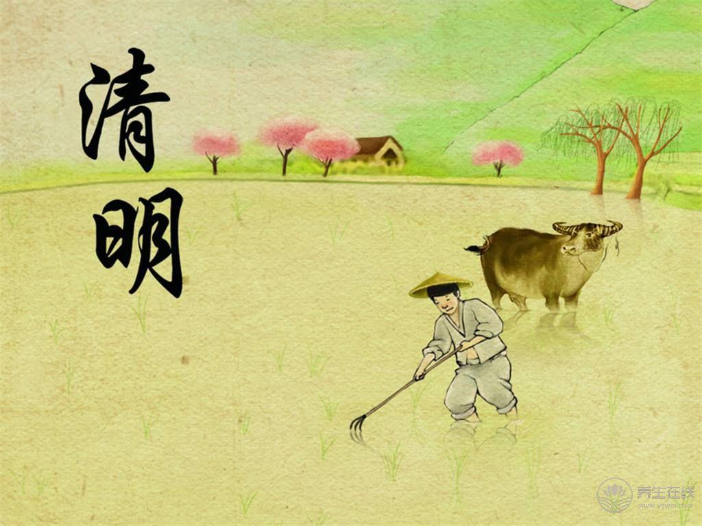 清明節氣養生飲食：多吃護肝食品少吃“發物”