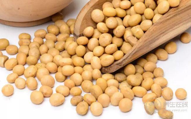 立冬吃什么養(yǎng)生 十大美食吃吃健康苗條