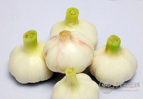 春季養護血管，這4種蔬菜你該多吃