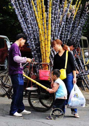清明后甘蔗毒過蛇 這些甘蔗千萬不要吃