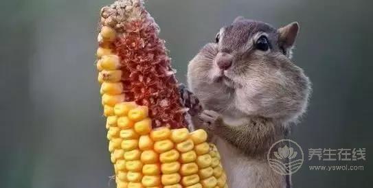 立秋啦！吃啥喝啥做啥才能整個秋冬不生病？