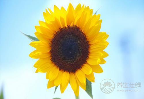 秋季養(yǎng)生怎么做才能更健康