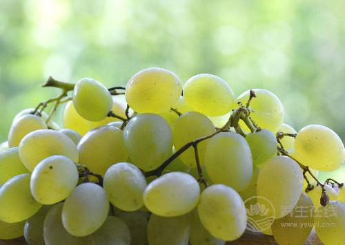 立秋之后葡萄熟了，但別亂吃，不同顏色的葡萄作用不同