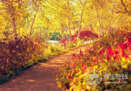 秋季出行的注意事項(xiàng)您了解多少