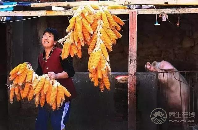 立秋啦！吃啥喝啥做啥才能整個秋冬不生病？