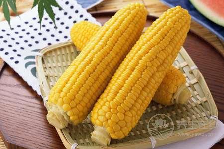 當(dāng)秋養(yǎng)生吃玉米