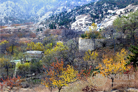 立冬都有哪些農事活動?