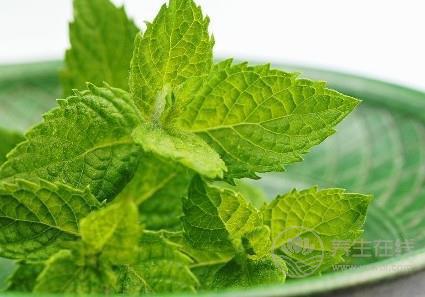 夏季辦公室族易患風熱感冒？ 3款薄荷飲品可治愈