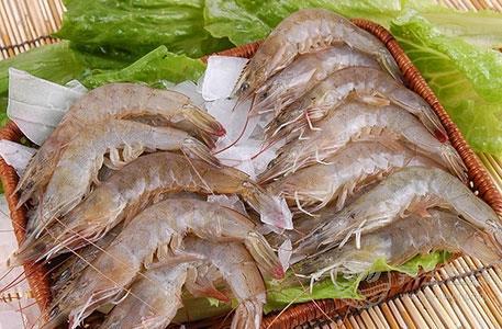 秋冬季吃什么海鮮好 八種海鮮美味營養 秋冬季吃什么海鮮好 八種海鮮美味營養