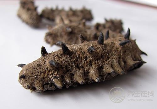 秋冬季吃什么海鮮好 八種海鮮美味營養 秋冬季吃什么海鮮好 八種海鮮美味營養