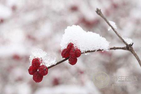 大雪節(jié)氣吃什么?有什么習(xí)俗?