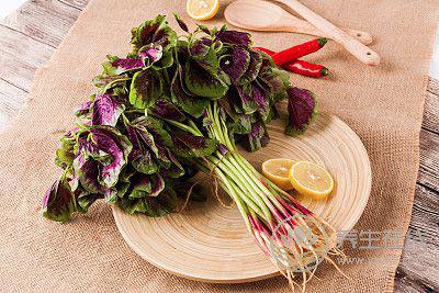 夏日減肥，時令蔬菜來助攻