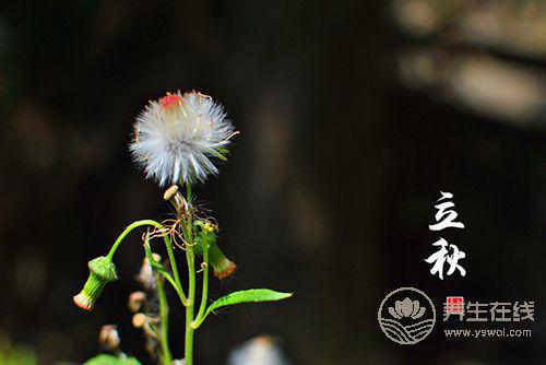 立秋后，這種東西就不能再吃了，當心