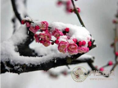 大雪節(jié)氣養(yǎng)生該注意什么? 大雪節(jié)氣養(yǎng)生該注意什么?