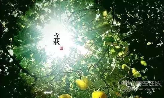 立秋啦！吃啥喝啥做啥才能整個秋冬不生病？