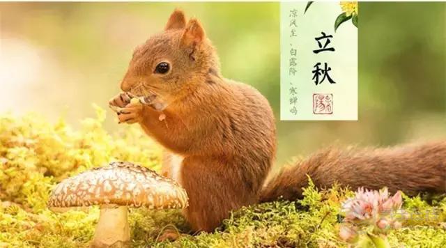 立秋啦！吃啥喝啥做啥才能整個秋冬不生病？