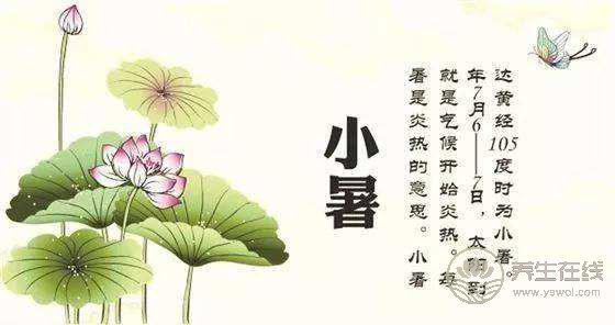 小暑天氣悶熱 要防中暑防舊病