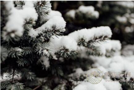 2018年立冬短信祝福語大全