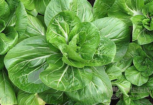 立秋后，飲食注意這幾點，秋冬少生病