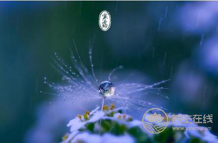 寒露吃什么？寒露飲食養生有什么講究？