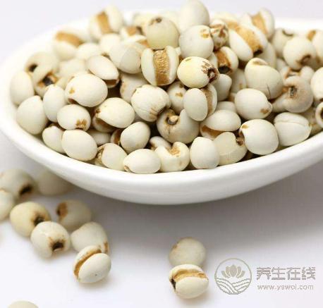 谷雨養生如何養肝護肝？谷雨養生重在養肝祛濕防過敏