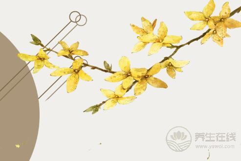 寒露后最適合用桂花入茶，暖胃甜香味道好，深秋養生必備