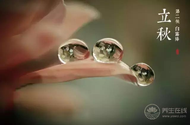 立秋啦！吃啥喝啥做啥才能整個秋冬不生病？