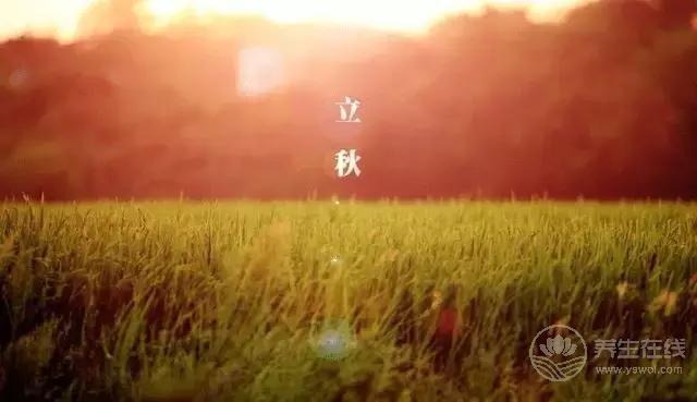 立秋啦！吃啥喝啥做啥才能整個秋冬不生病？