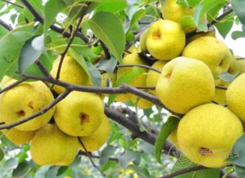 秋季養生做到這3個效果最好