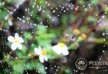 千寒易除，一濕難去，夏天祛濕怎么做？