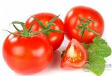 消夏要多吃苦瓜