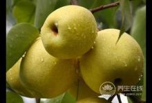 小雪節氣如何預防上火呢