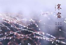 秋冬季節(jié)養(yǎng)生就吃它，2塊1斤滋補賽人參